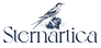 Stenartica-Logotype-2-Blue