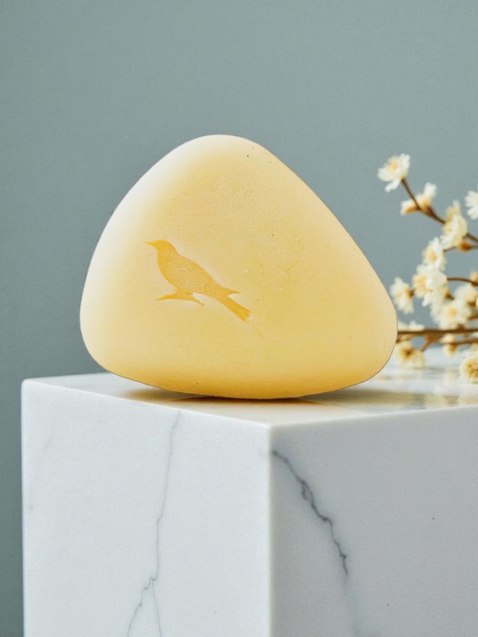 Après-shampoing solide pour cheveux longs, secs et bouclés