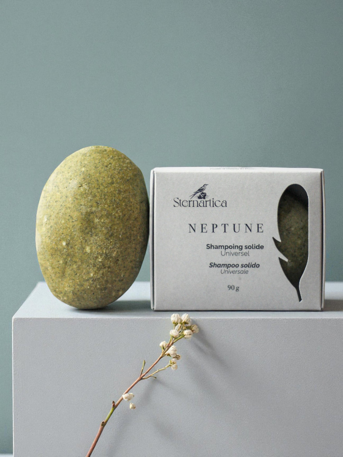 Ingrédients du shampoing NEPTUNE : spiruline, farine de riz, olive, cacao